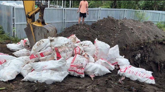 PEMUSNAHAN: Balai Karantina Hewan, Ikan dan Tumbuhan Sulawesi Utara (Karantina Sulut) memusnahkan 15 ton daging ayam yang tidak layak konsumsi di Tahuna, Kepulauan Sangihe, Senin (12/5/2025).