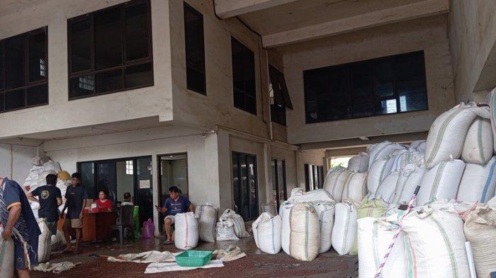 Gudang Cengkih Wanea, Kota Manado, Sulawesi Utara, Jumat (9/8/2024).