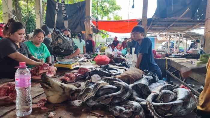 H-1 Pengucapan Minsel Sulut, Warga Mulai Berburu Ular Piton, Paniki, Babi, Tikus dan Anjing di Pasar