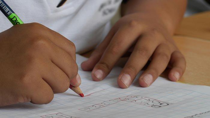 Ilustrasi belajar - soal dan kunci jawaban Matematika Kelas 6 SD Kurikulum Merdeka.