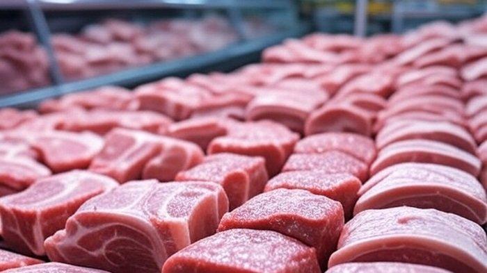 Harga Daging Babi Terkini