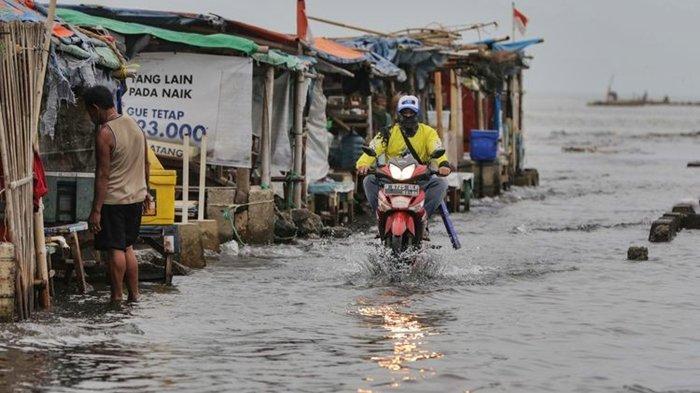 Info BMKG, 6 Wilayah Berpotensi Dilanda Banjir Rob dalam Rentang Waktu 23 November - 2 Desember 2023.