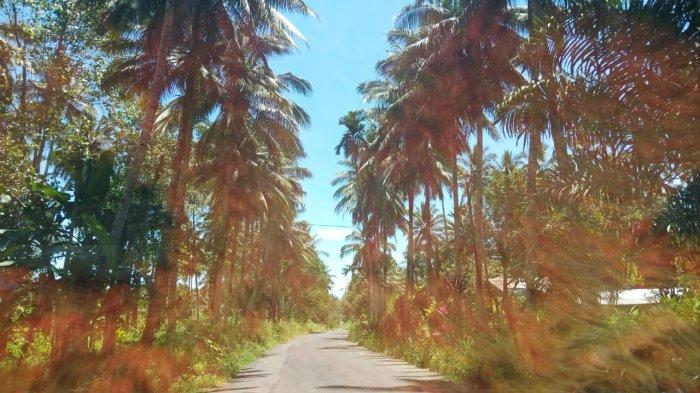 CUACA SULUT: Langit Sulawesi Utara hari ini Rabu 7 Mei 2025. Berikut info cuaca Sulut hari ini.