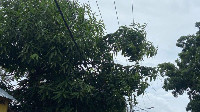 Kabel listrik di sepanjang Jalan Winangun Kota Manado Sulawesi Utara