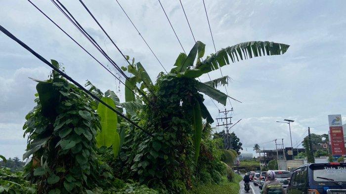 Kabel listrik di sepanjang Jalan Winangun Kota Manado Sulawesi Utara