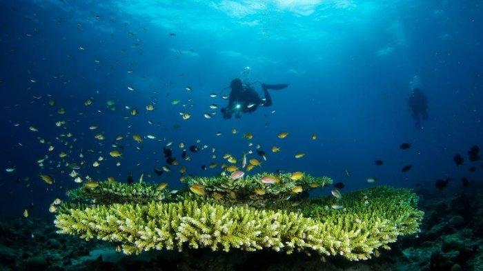 Objek Wisata di Pulau Lembeh Bitung Sulawesi Utara