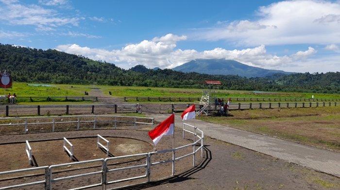 PACUAN KUDA - Lokasi pacuan kuda di Balitka Mapanget, Manado Sulawesi Utara.