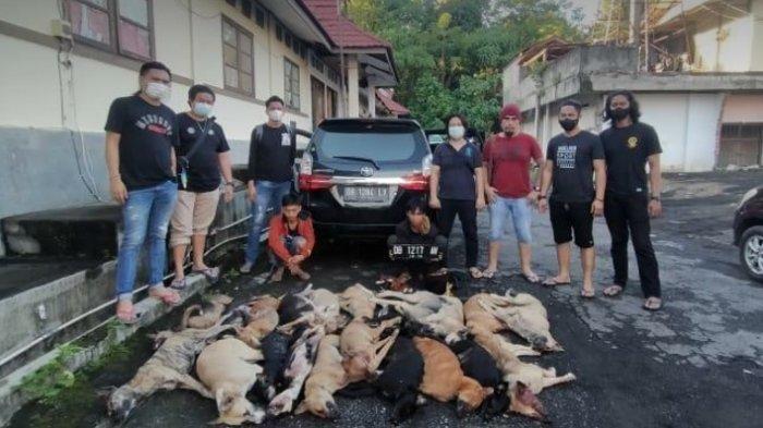 Pelaku Doger anjing
