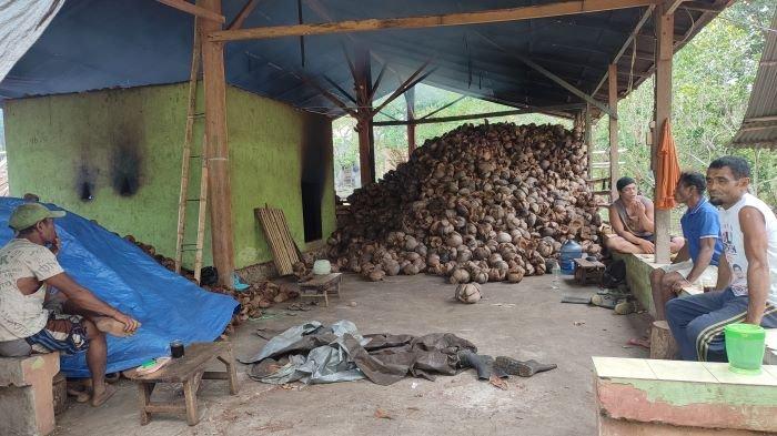 Petani Kopra di Bailang Manado Sulawesi Utara