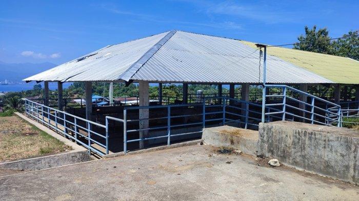 Rumah Potong Hewan (RPH) Bailang, Kota Manado, Sulawesi Utara.