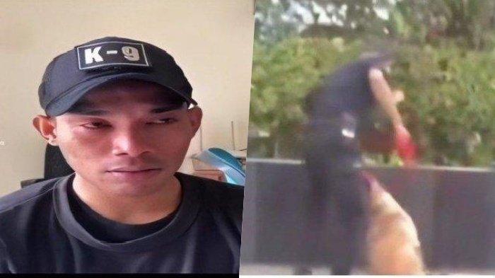 Kolase foto Satpam Plaza Indonesia Dipecat setelah Pukul Anjing, Ternyata Ingin Selamatkan Kucing.