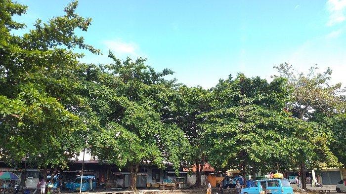 TERMINAL - Suasana Terminal Serasi Kotamobagu yang tampak lengang, Kamis 19 Juni 2025. Warung dan kanting telah ditertibkan.