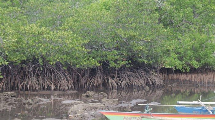 Suasana Wisata Darunu Mangrove Park yang berada di Kecamatan Wori Minahasa Utara Sulawesi Utara, Senin (6/11/2023).