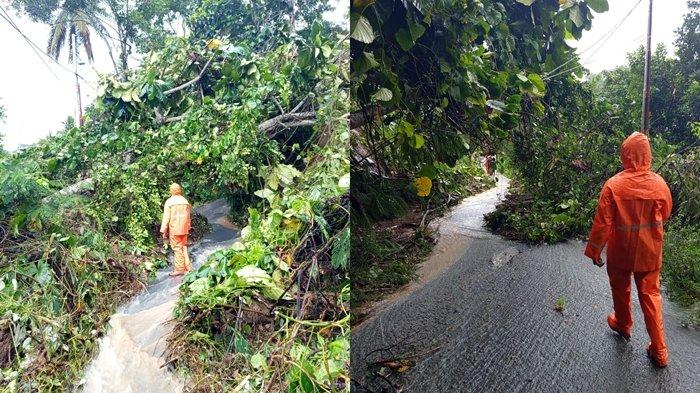 LONGSOR - Longsor terjadi di Sawangan - Sampiri Minut, Sabtu (24/5/2025). Tak hanya itu longsor juga terjadi di jalan antara Sawangan - Tanggari.