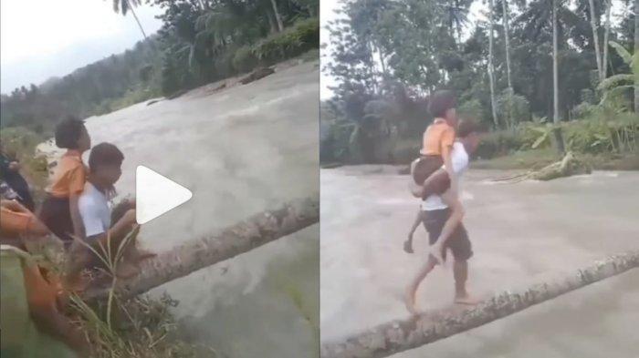 Viral, Aksi Para Pemuda Gendong Para Murid SD Sebrangi Sungai Lewati Bentangan Pohon, Tuai Pujian