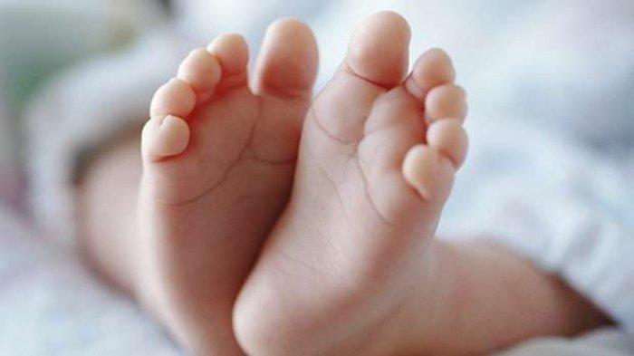 Ilustrasi Bayi