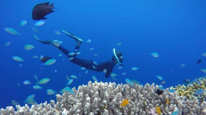 Keindahan pulau tak berpenghuni disekitar desa Tumbak