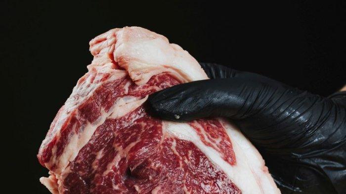 DAGING KAMBING - Ilustrasi daging kambing. Berikut jumlah produksi daging karkas kambing di Sulawesi Utara.
