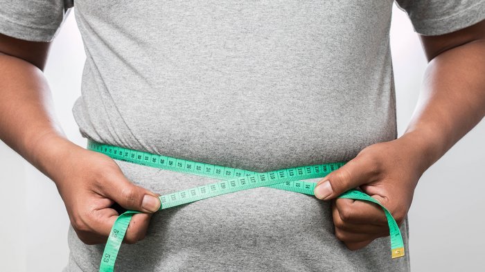 Aplikasi Marketing Terapi Diet