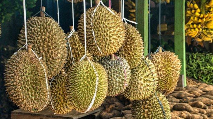 Ilustrasi buah durian.