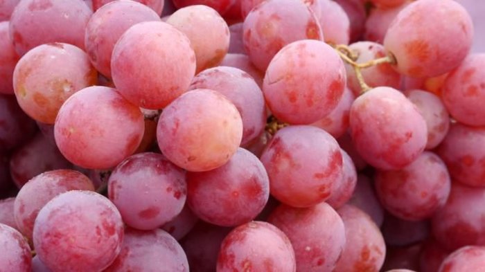 Apa Sih, Apa Itu Resveratrol?