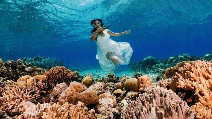 Keindahan bawah laut di Kabupaten Bolsel, yang disebut surga bagi penyelam.