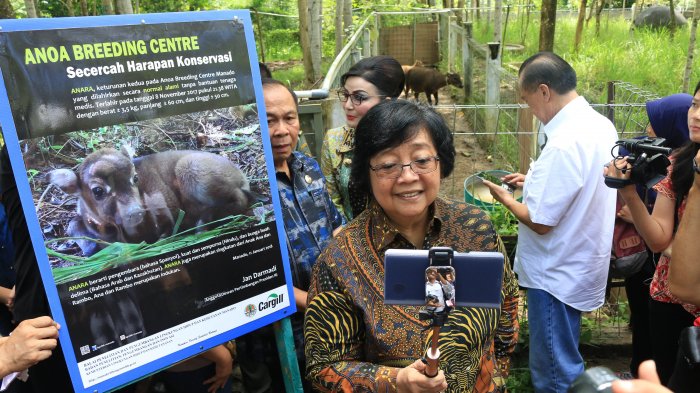 Menteri LHK meninjau kawasan hutan adat