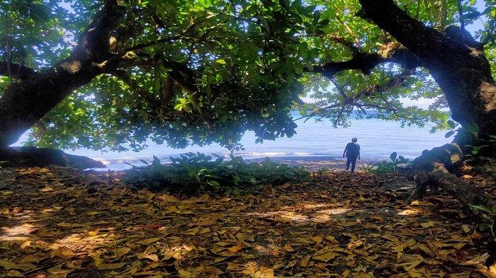 Pantai Pos 2 Gunung Tangkoko Bitung