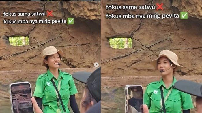 Tangkapan layar pegawai Solo Safari di Jawa Tengah disebut-sebut mirip dengan aktris Pevita Pearce.