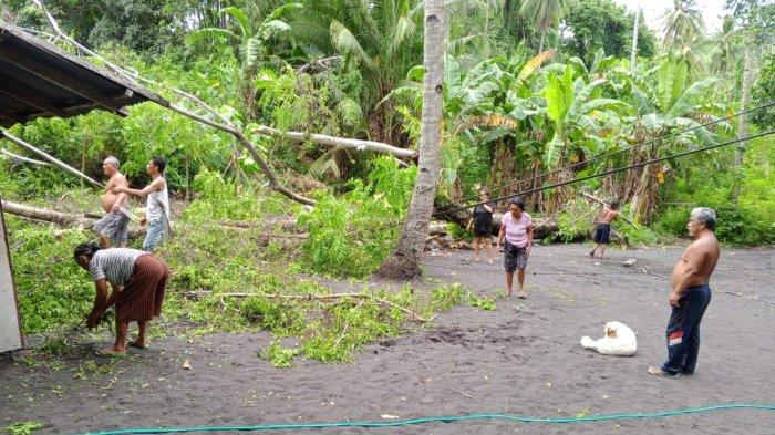 Sebuah rumah yang rusak akibat terkena pohon roboh dan tiang listrik yabg ikut roboh.