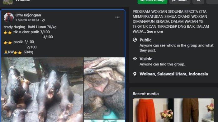 DAGING ANJING - Sebuah akun bernama Ofni Kojongian menjajakan sejumlah satwa liar di Grup Facebook Woloan, sebuah kecamatan di Kota Tomohon, Sulawesi Utara pada Maret 2025. Ada daging tikus, kelelawar, dan anjing.