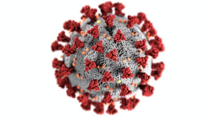 Ilustrasi virus.