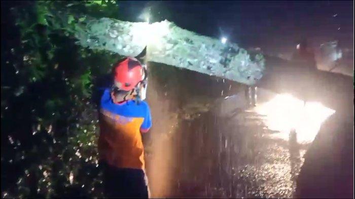 Pohon besar tumbang di tengah jalan raya antar kabupaten