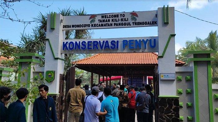 Konservasi Penyu Pantai Kili-kili, Dusun Bendogolor, Desa Wonocoyo, Kecamatan Panggul, Kabupaten Trenggalek
