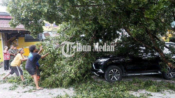 Warga memotong pohon tumbang di Jalan Abdullah Lubis Kelurahan Merdeka, Kecamatan Medan Baru, Kota Medan, Minggu (15/12/2024). Pohon tumbang tersebut menimpa 4 mobil dan tidak ada korban jiwa.