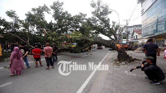 Sejumlah warga melihat proses pemotongan pohon tumbang di Jalan Abdullah Lubis Kelurahan Merdeka, Kecamatan Medan Baru, Kota Medan, Minggu (15/12/2024). Pohon tumbang tersebut menimpa 4 mobil dan tidak ada korban jiwa.