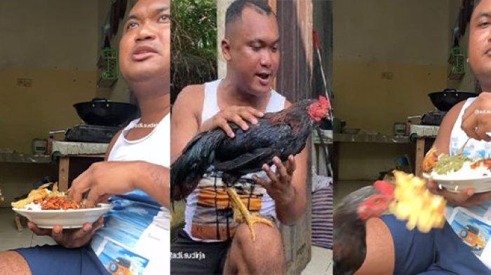 Ayam pencuri telur bernama Putra milik TikTokers Adi Sudirja ditawar Rp 50 juta.
