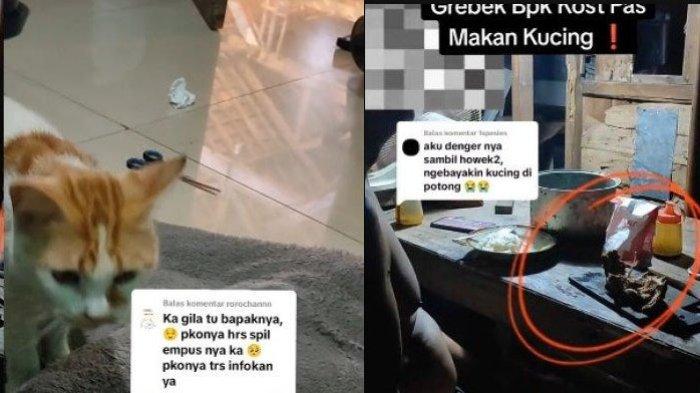 Bapak Kos di Semarang Ketahuan Makan Kucing, Ngaku Terpaksa Gegara Diabetes: Gulanya Gak Tinggi