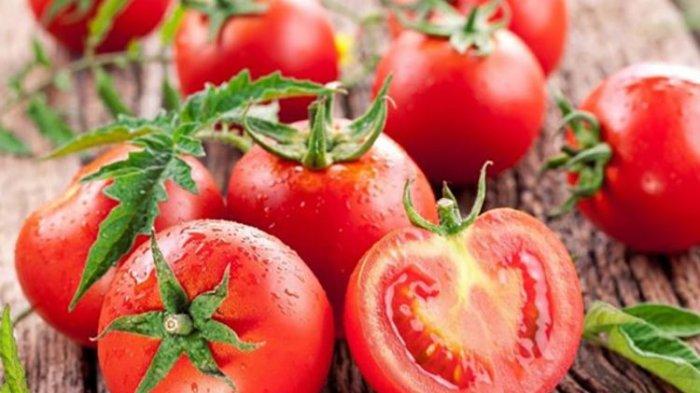 Buah Tomat