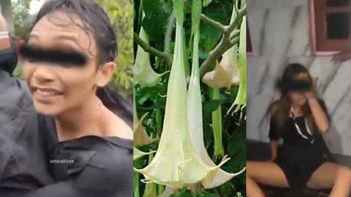 Campur Miras dengan Kecubung, 2 Remaja di Kalimantan Selatan Tewas, 44 Dirawat di RSJ Gegara Aneh