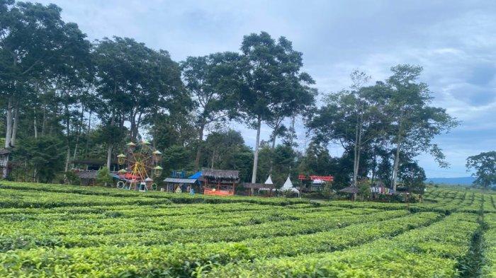 Desa Sait Buttu Saribu, Tempat Wisata Usung Konsep Wisata Transit Bagi ...