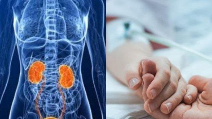 Ditemukan di Ginjal Senyawa Kimia Ini Penyebab Sakit, Inilah Ciri-ciri