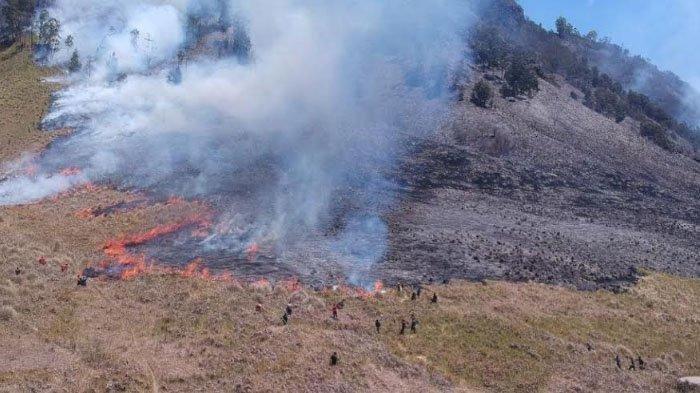 Gunung Bromo kebakaran gegara pasangan prewedding yang menyalakan flare.