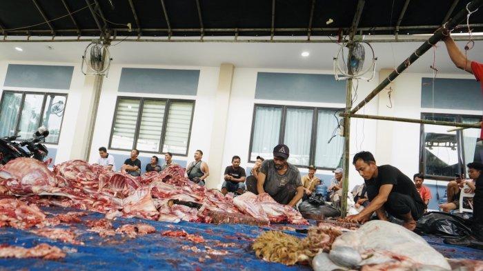 Hari Raya Idul Adha 1445 Hijriah, Pondok Pesantren (Ponpes) Tahfidz Sulaimaniyah Haji Anif melaksanakan pemotongan 710 ekor kambing dan 3 ekor sapi kurban untuk didistribusikan kepada warga.