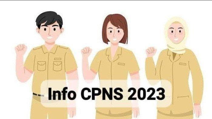 Link Cek NIP CPNS dan NI PPPK 2023 beserta Langkah-langkahnya - Tribun