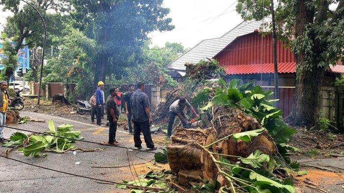 Jalan Imam Bonjol, Kecamatan Medan Maimun, lokasi dimana seorang pengendara wanita tewas usai tertimpa pohon, Jumat (31/5/2024).