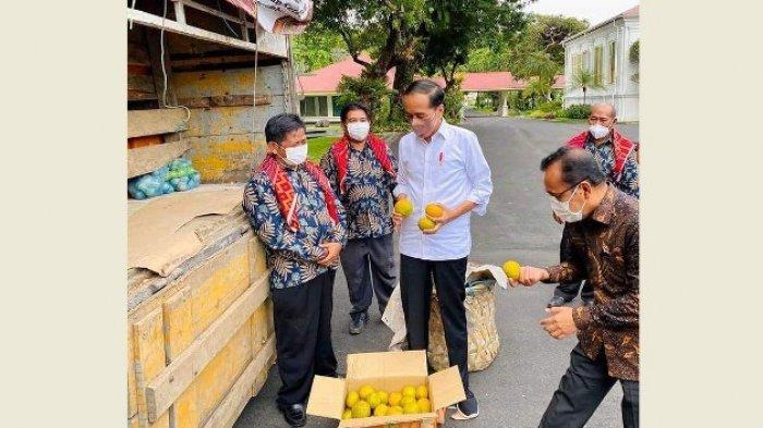 Presiden RI Joko Widodo terima 3 ton jeruk dari masyarakat Liang Melas Datas di Istana Negara, Senin (6/12/2021)
