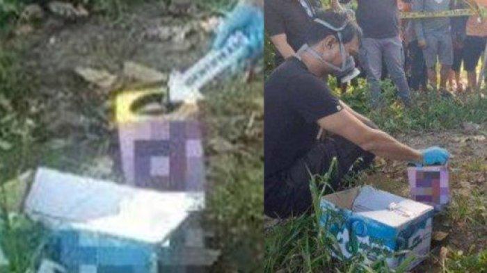 KALENG Biskuit Berisi Jasad Bayi Sudah Membusuk Bikin Geger Warga Sulsel, Siapa Pelakunya?