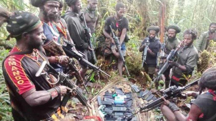 RAMPAS SENJATA: Kelompok Kriminal Bersenjata (KKB) pimpinan Egianus Kogoya sedang menunjukan senjata api dan amunisi yang mereka klaim merupakan hasil rampasan dari prajurit TNI-Polri yang ada di Distrik Mugi, Nduga Papua Pegunungan pada Sabtu (15/4/2023) lalu. (Kompas.com)