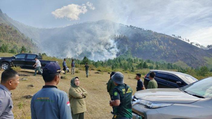Kadis LHK Sumut Yuliani Siregar  saat memantau Karhutla di Samosir, Minggu (22/6/2025). Yuliani menjelaskan akibat Karhutla di Samosir 100 HA lahan hangus terbakar.